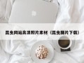 邹城昆虫网站高清照片素材（昆虫图片下载）