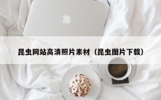 邹城昆虫网站高清照片素材（昆虫图片下载）
